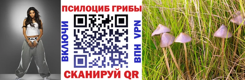 shop состав  Искитим  Галлюциногенные грибы Psilocybe 