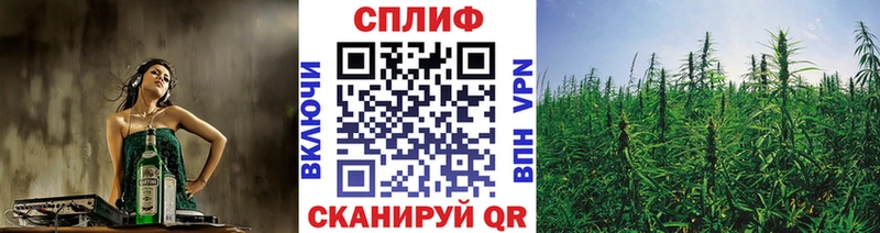 Бошки марихуана конопля  Искитим 